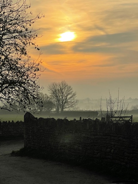 Martin Davies tweet media