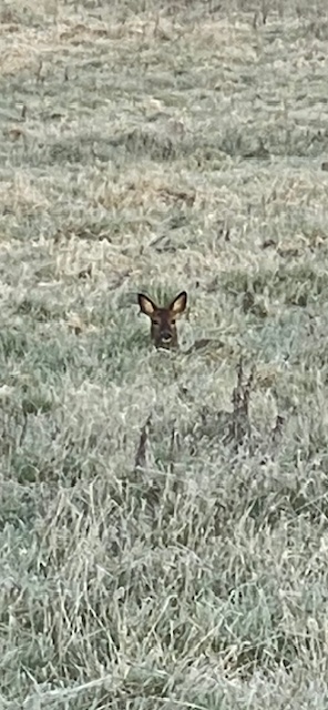 Martin Davies tweet media