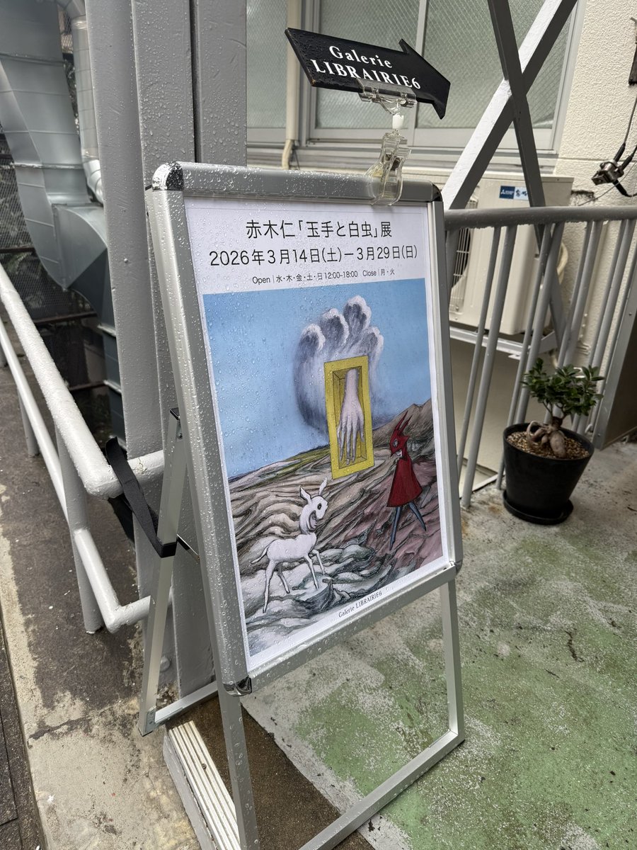 こじっさ tweet media