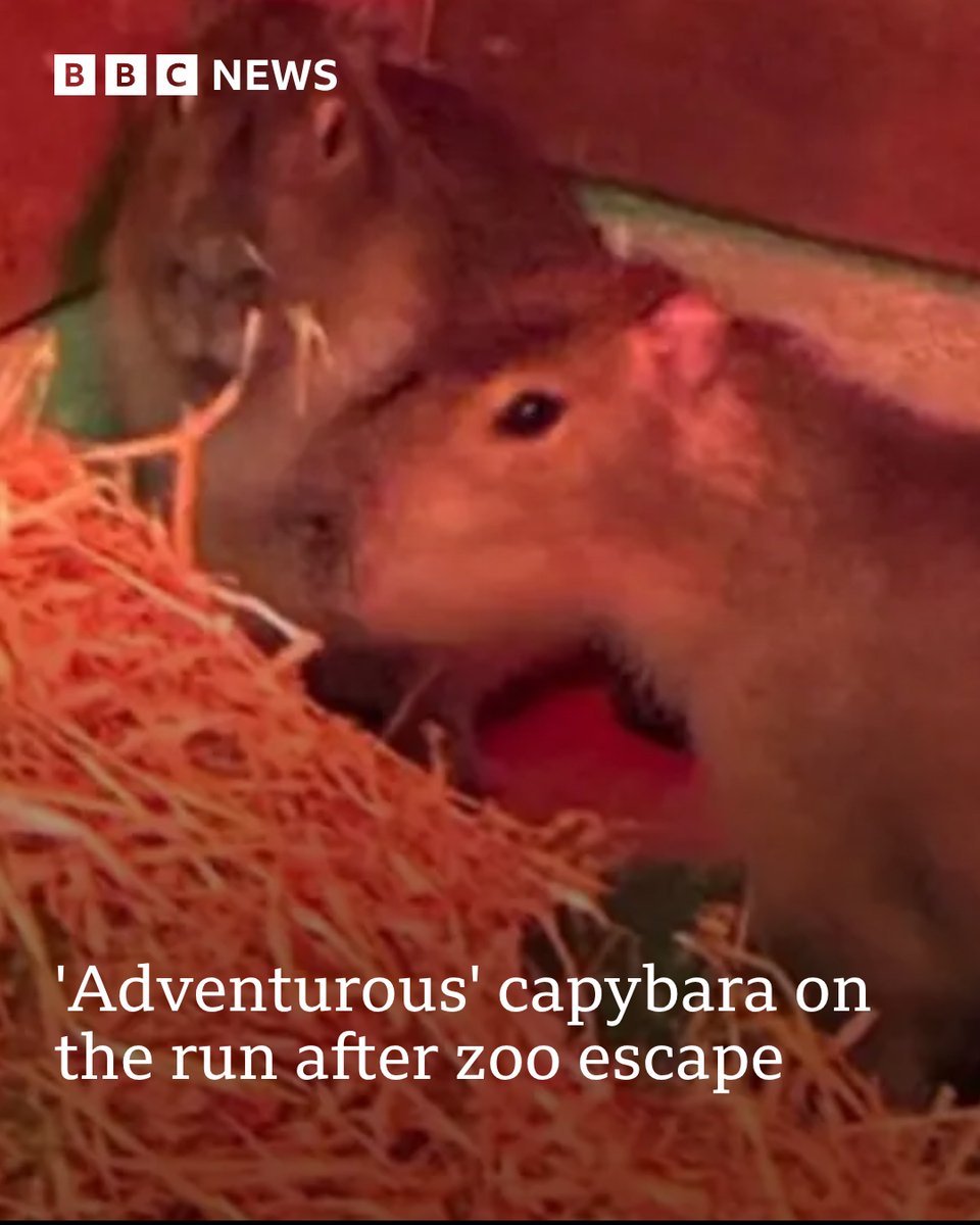 BBC Suffolk tweet media