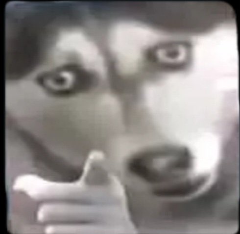 Danielson danyel tweet media