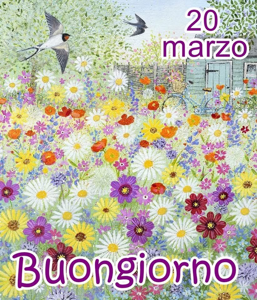 mariagraziakim1 tweet media