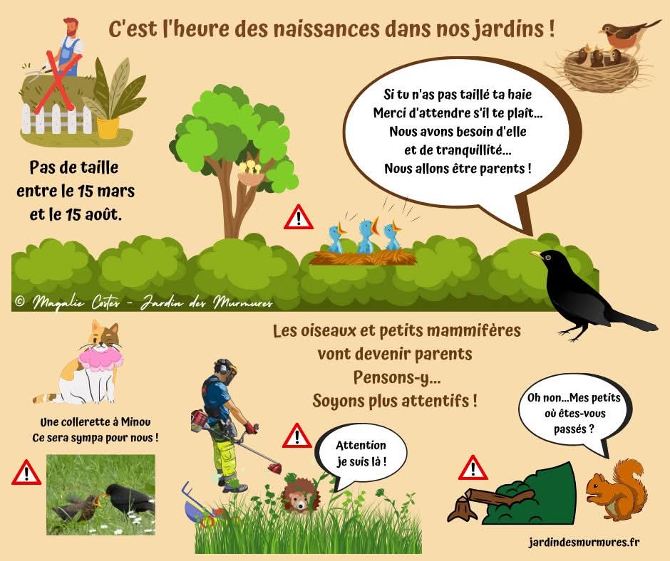 PERSONNEL tweet media