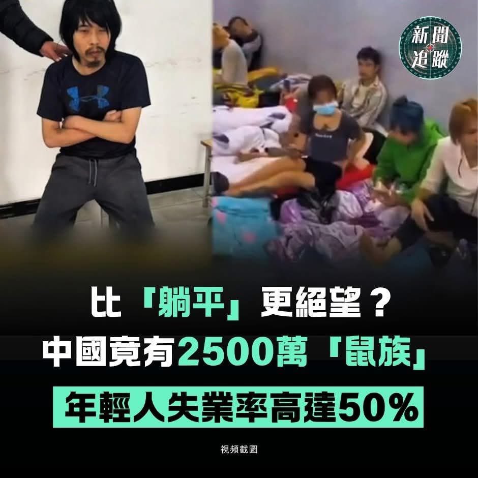 陳少5.0 tweet media