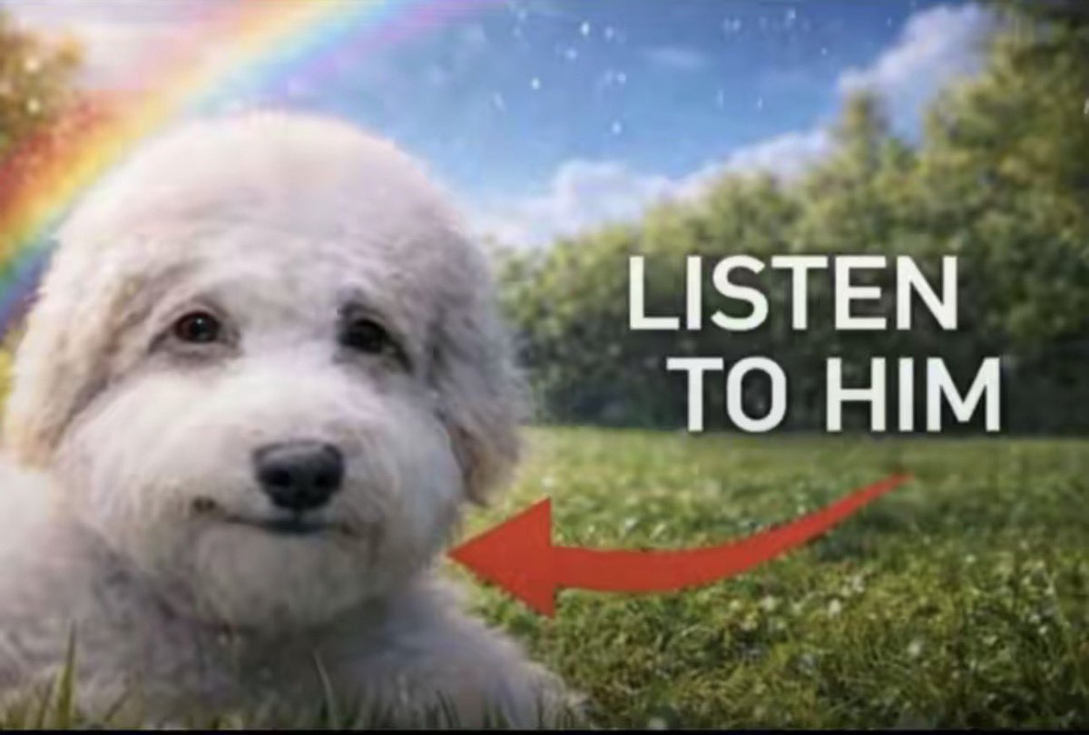 Infactuallity tweet media