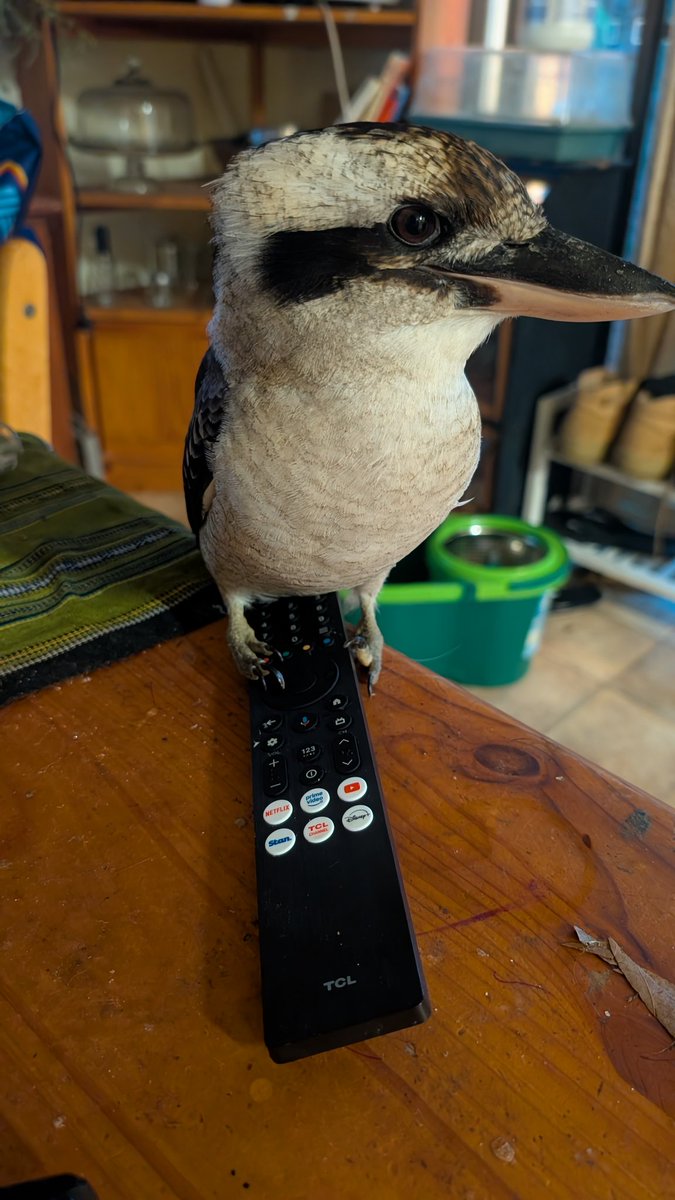 Mark Duckett tweet media