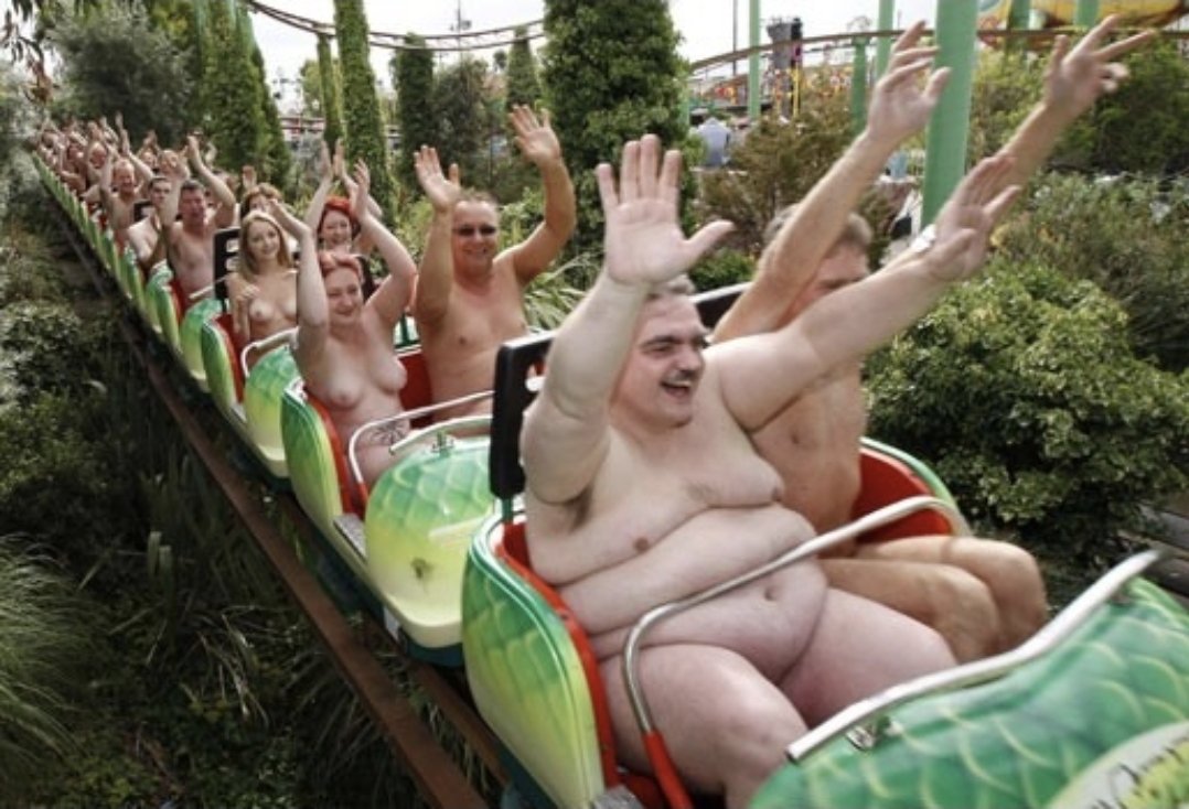 vester71 tweet media