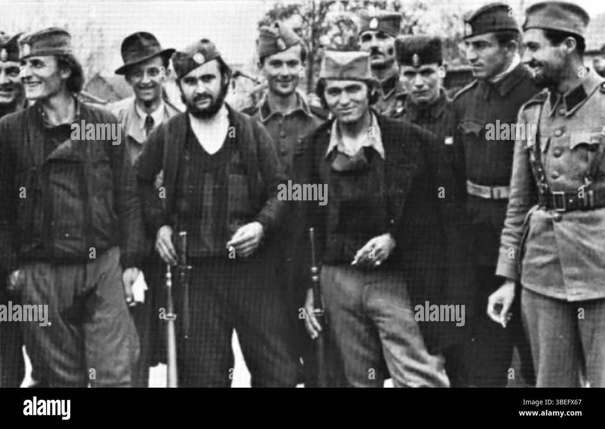 Illyrian Crusader tweet media