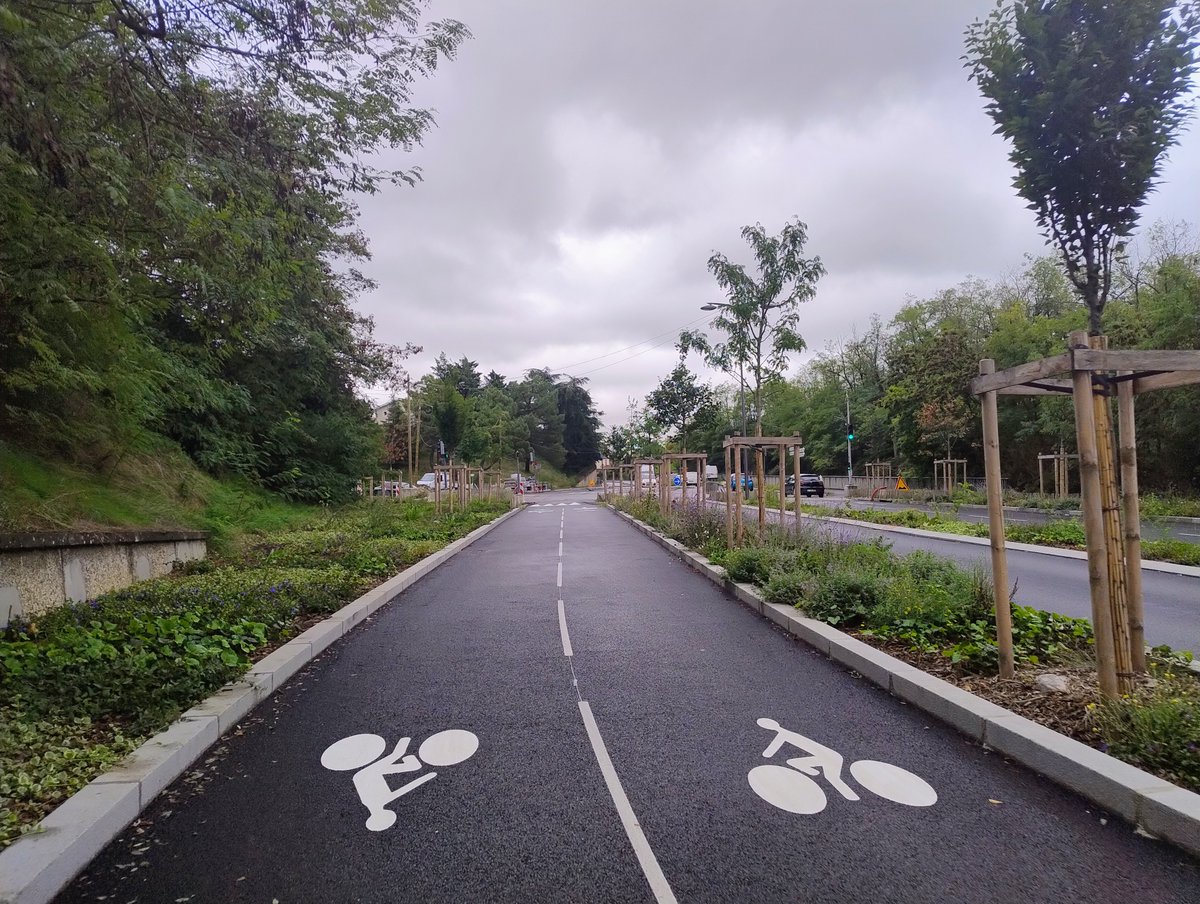 Lyon 🦁 à Vélo 🚴 tweet media