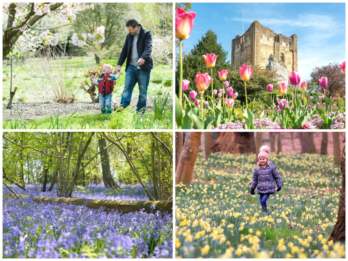 Visit Surrey tweet media