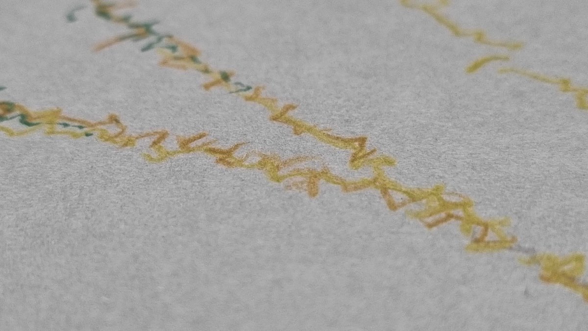 Matthias C. Rillig tweet media