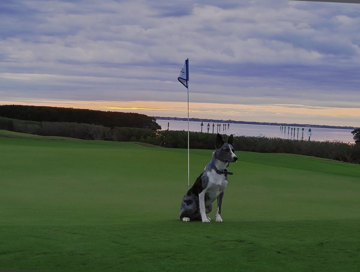 john reilly tweet media