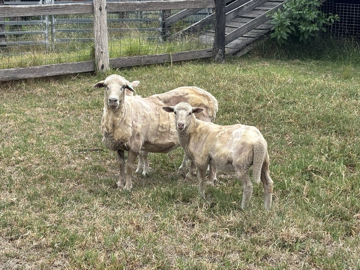 Martin Murray tweet media