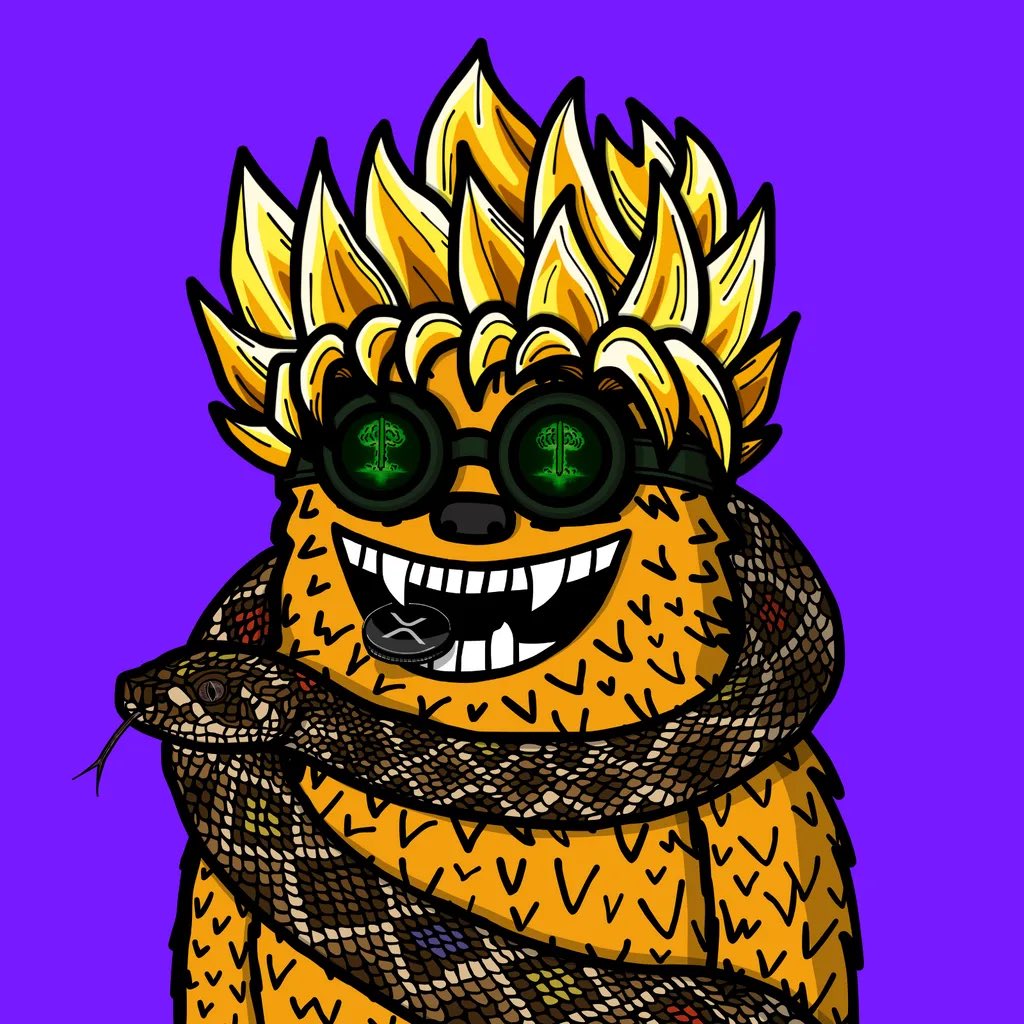 JR 🐔🪽 tweet media