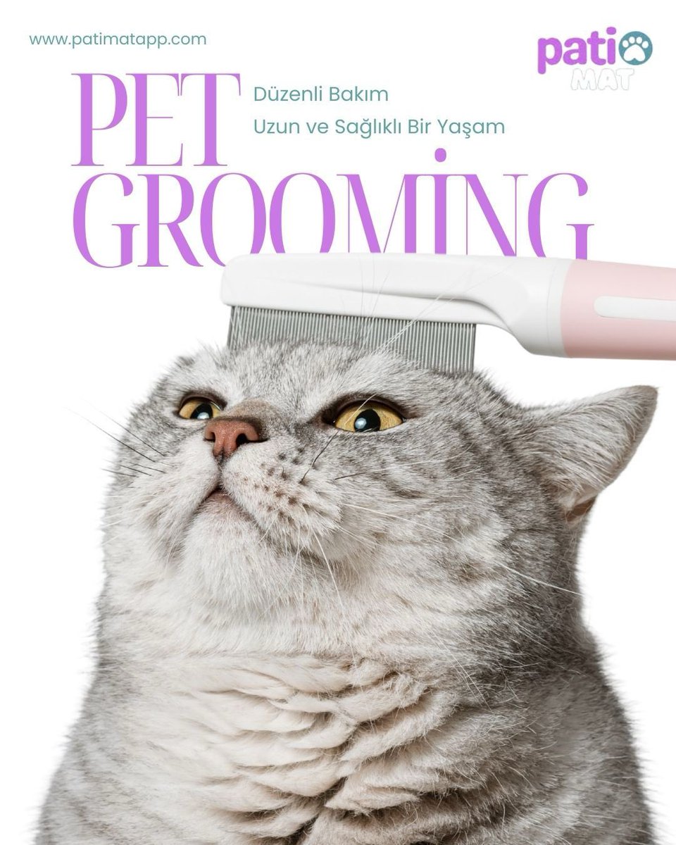 patimatapp's tweet photo. Minik dostlarımız için düzenli bakım, sağlıklı ve mutlu bir yaşam demektir 🐾✨
Pet grooming ile tüy dökülmesini azaltabilir, cilt sağlığını koruyabilir ve patili dostunuzla daha konforlu bir yaşam sürebilirsiniz.
Patimat App ile bakım artık daha kolay.

#patimatapp #hayvanlar https://t.co/qSv9eYy7wa
