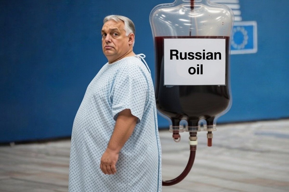 🇪🇺 🇺🇦 Borg Fella 🇺🇦 🇪🇺 tweet media