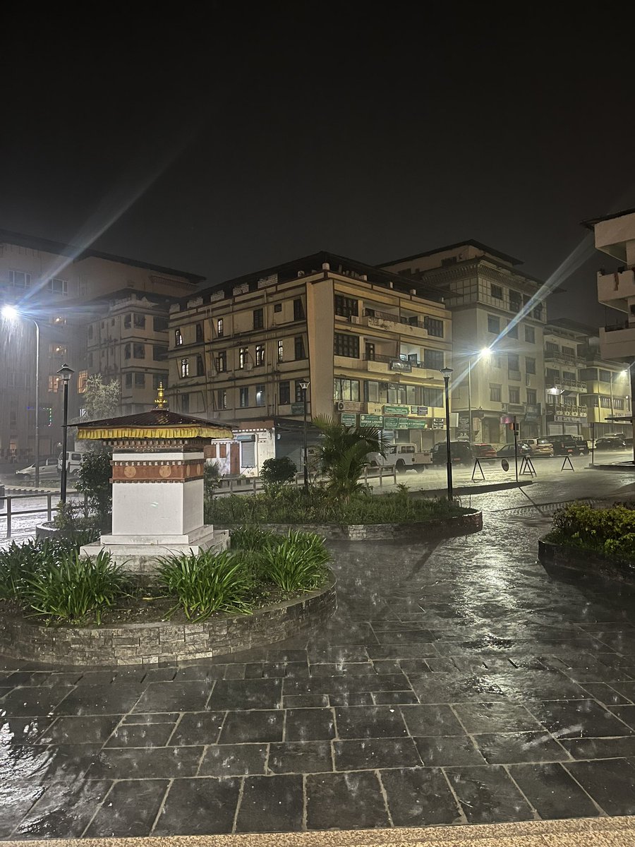 zaamthebookishpotato tweet media