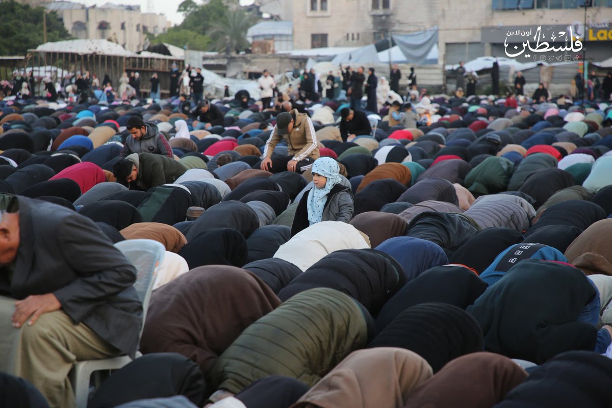 فلسطين أون لايـن tweet media