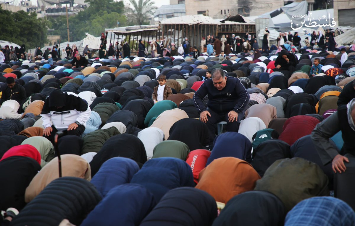 فلسطين أون لايـن tweet media