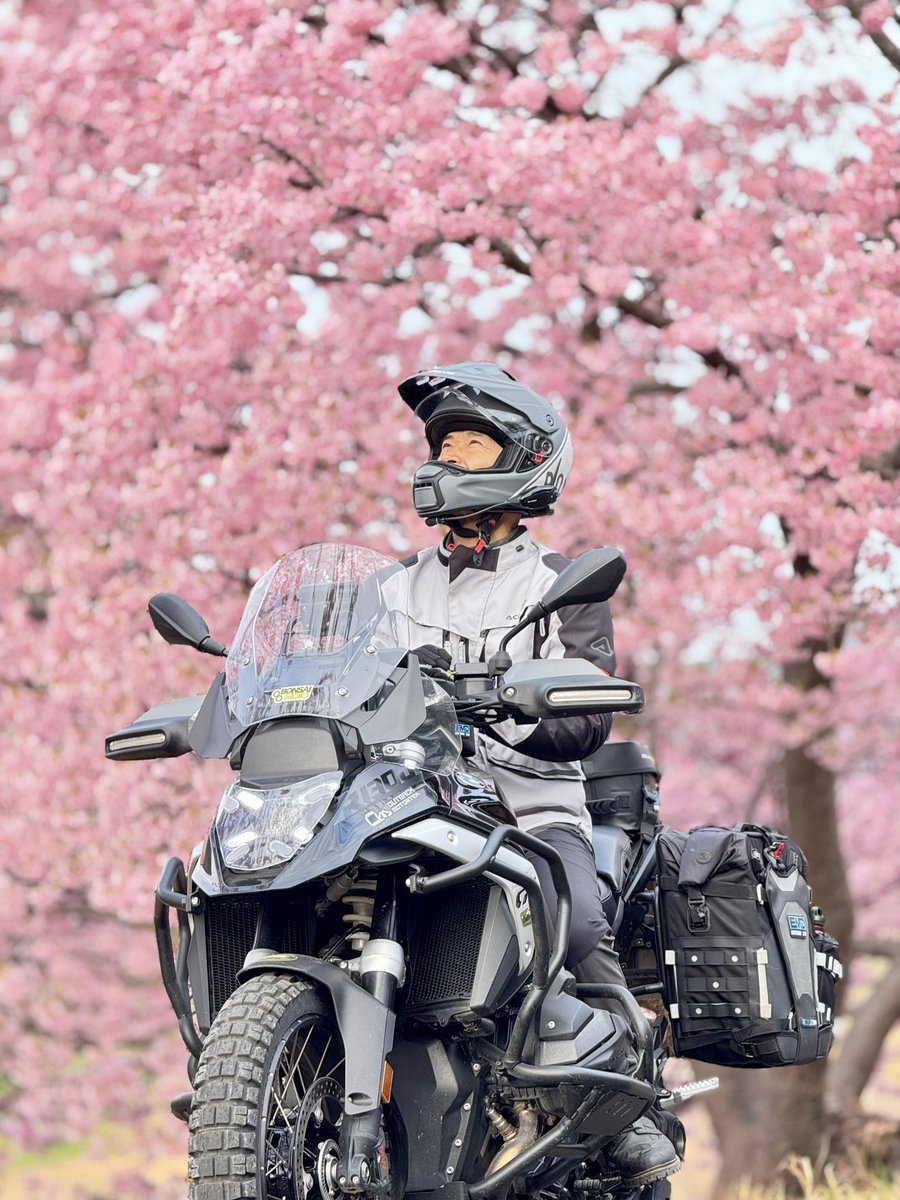 BONSAIMOTO（ボンサイモト） tweet media