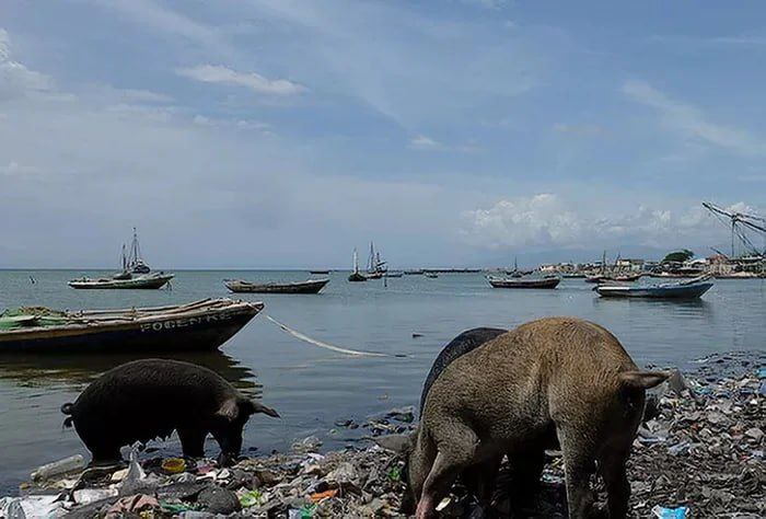 Ing. Honza 🇨🇿👍🇺🇦👎 tweet media