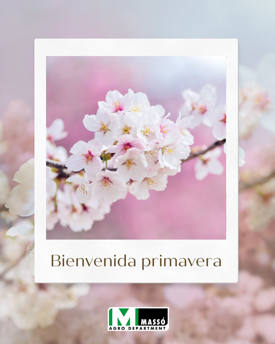 Massó Agro tweet media