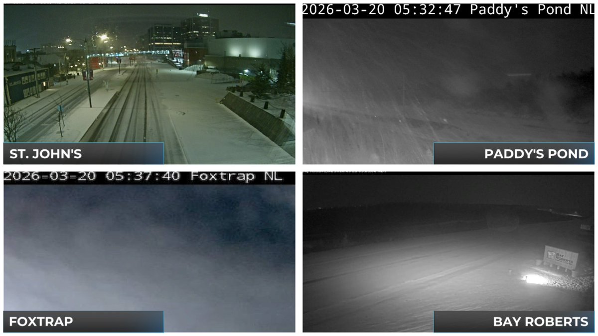 Eddie Sheerr tweet media