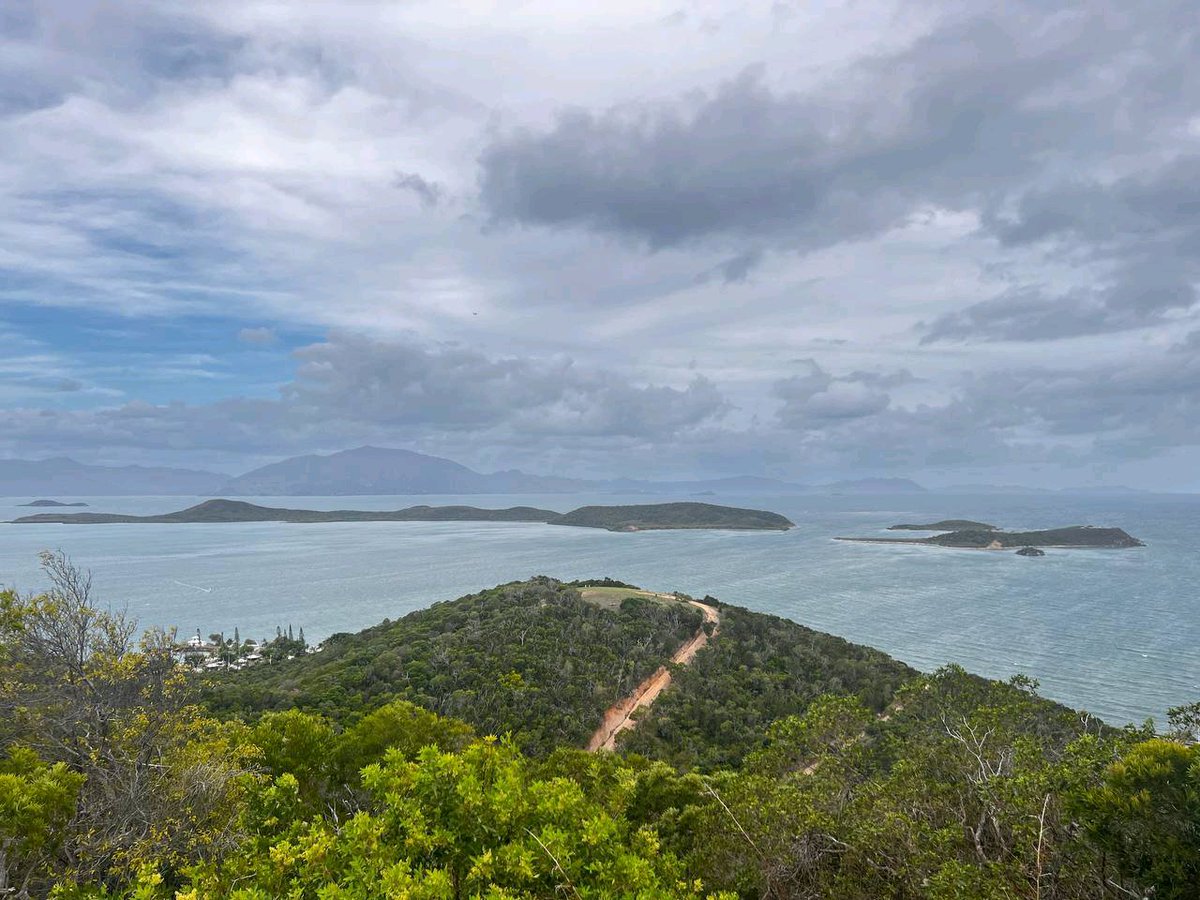 Emperor.SOL tweet media