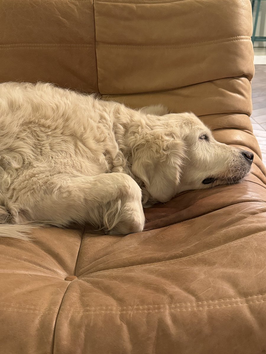 Nomadmum tweet media