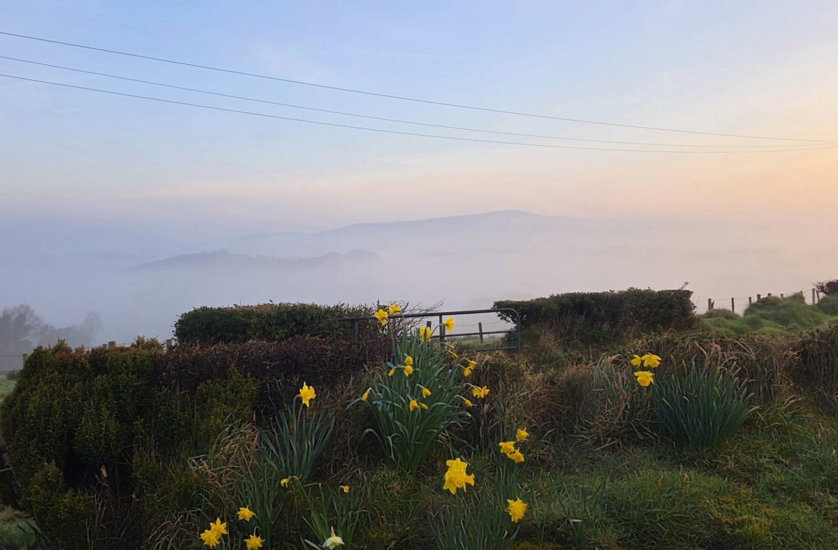 Cara Coll Photography tweet media