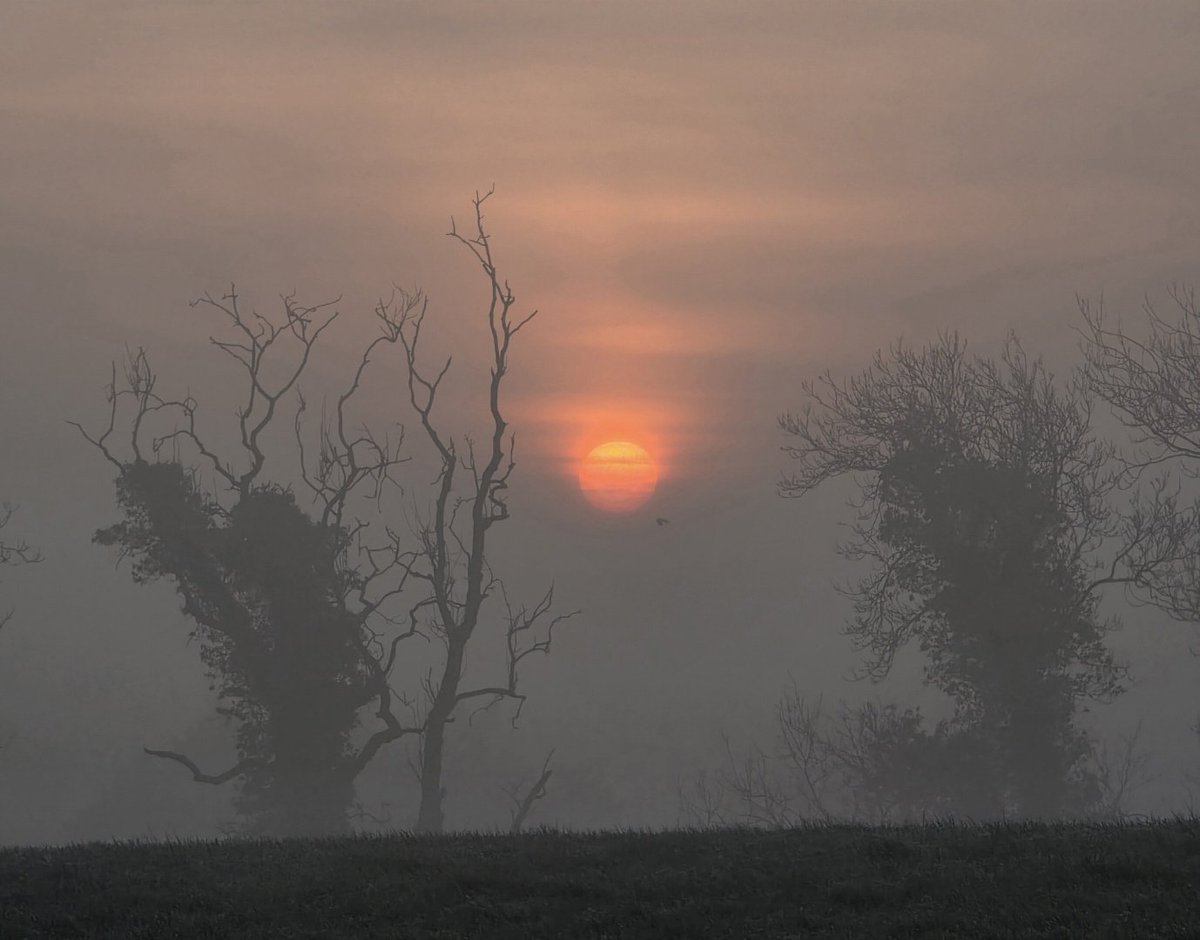 Cara Coll Photography tweet media