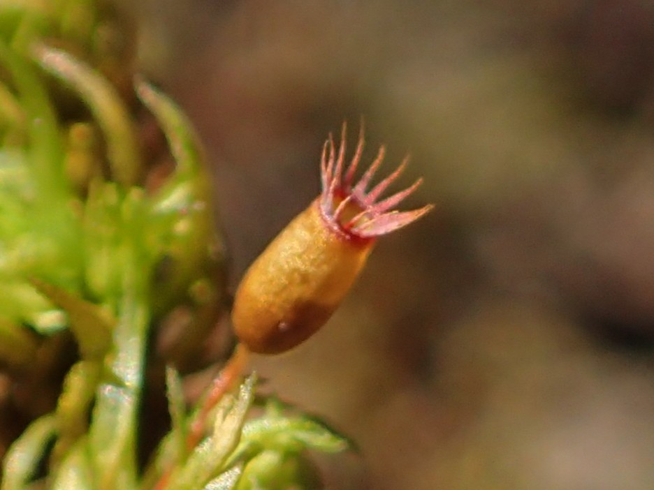 Masakuni Kimura tweet media