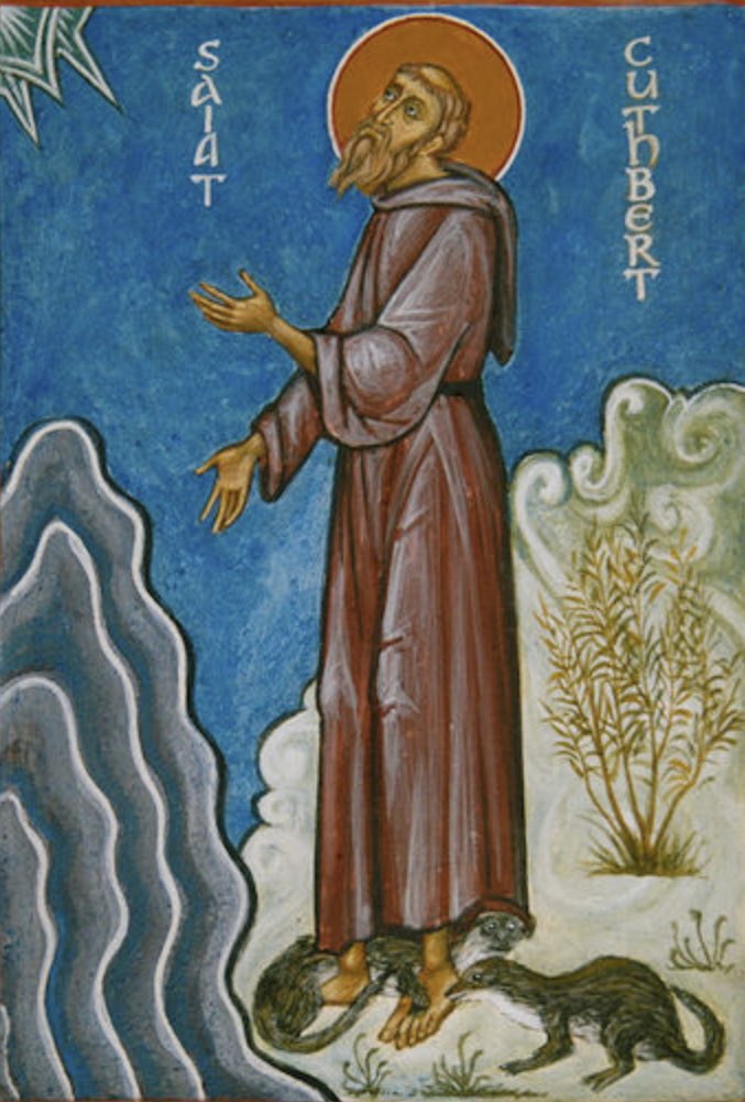 David Steel tweet media