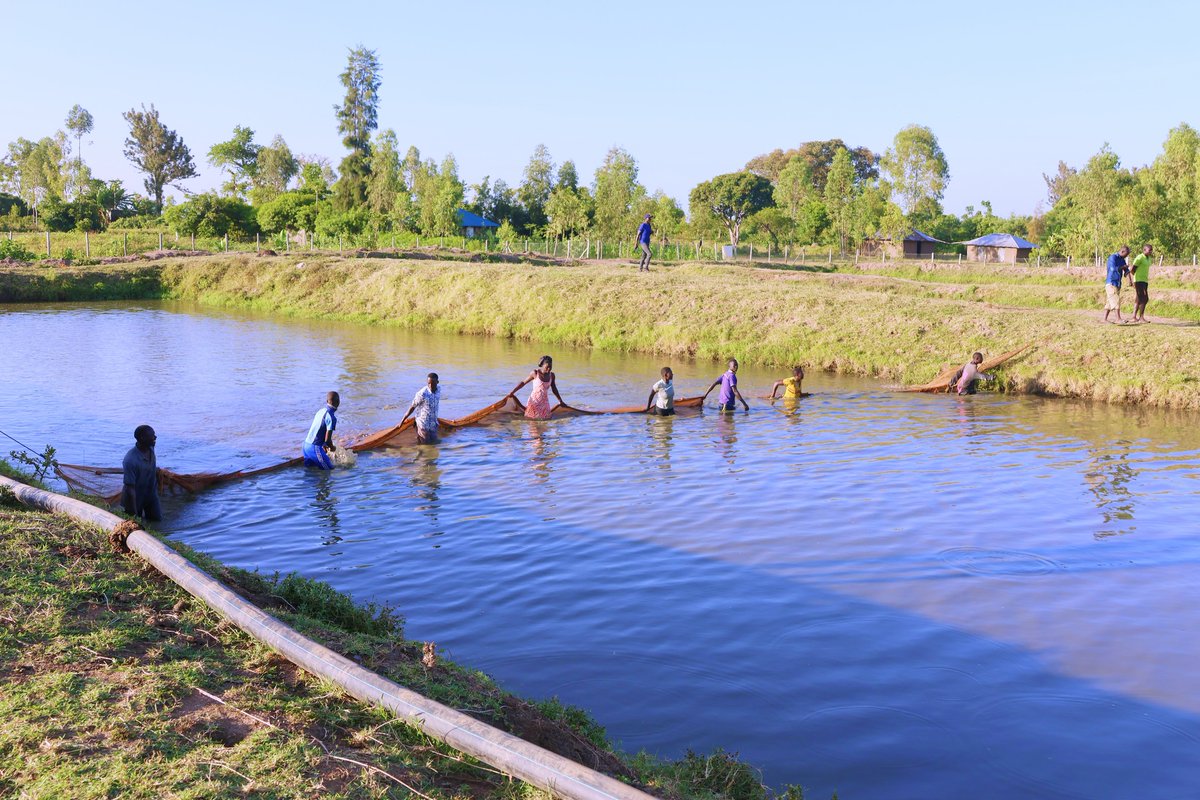 Aquaculture Blue Economy and Innovation Conference tweet media