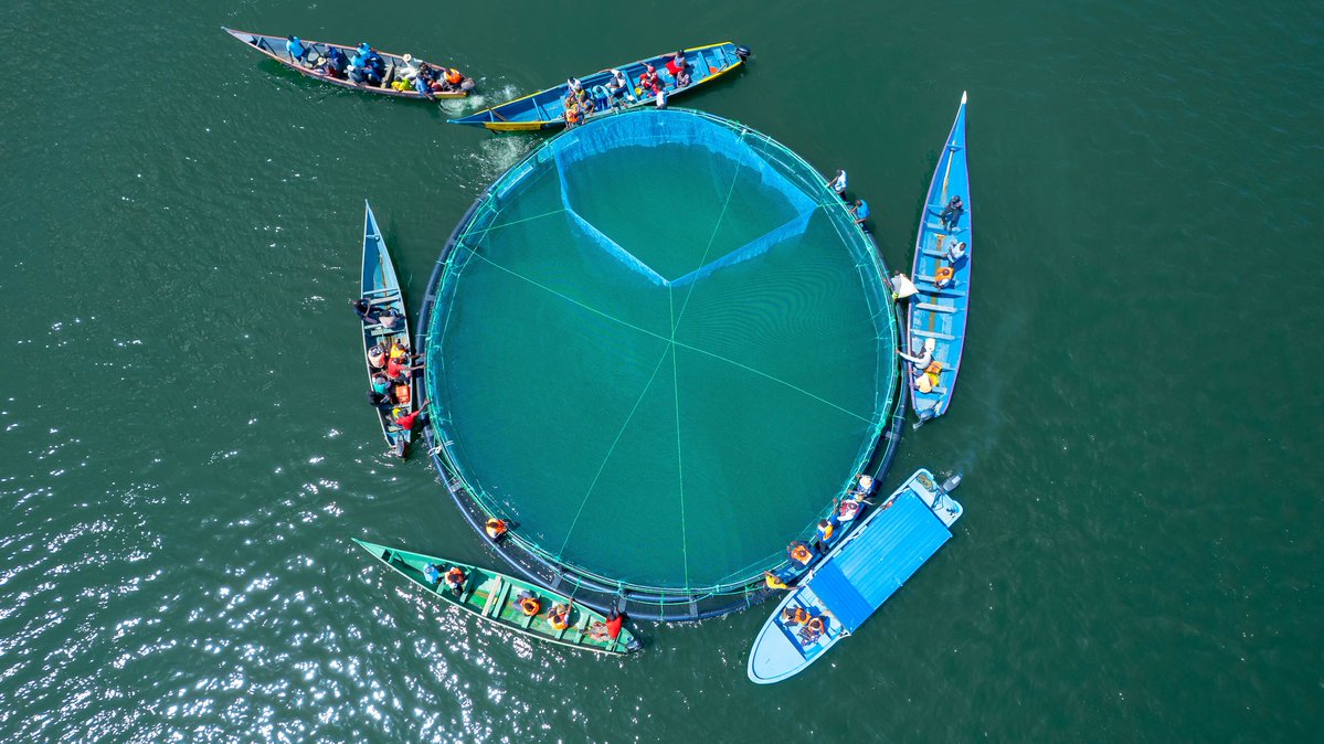 Aquaculture Blue Economy and Innovation Conference tweet media