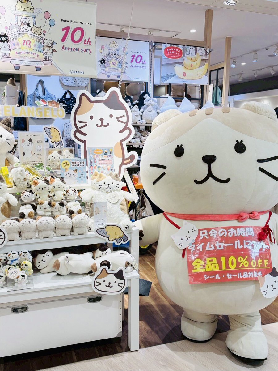 ⋰ 🐱#ふくふくにゃんこ📷 グリーティングイベント開催☆ˎˊ˗ ⋱ 店舗の