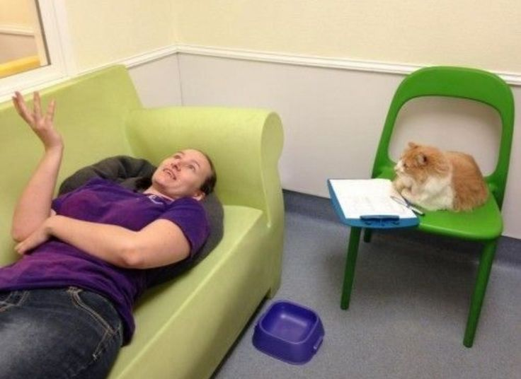 Binance Intern tweet media