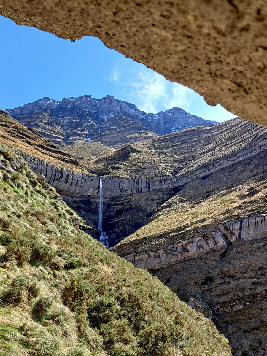 Jose Angel Urquia tweet media