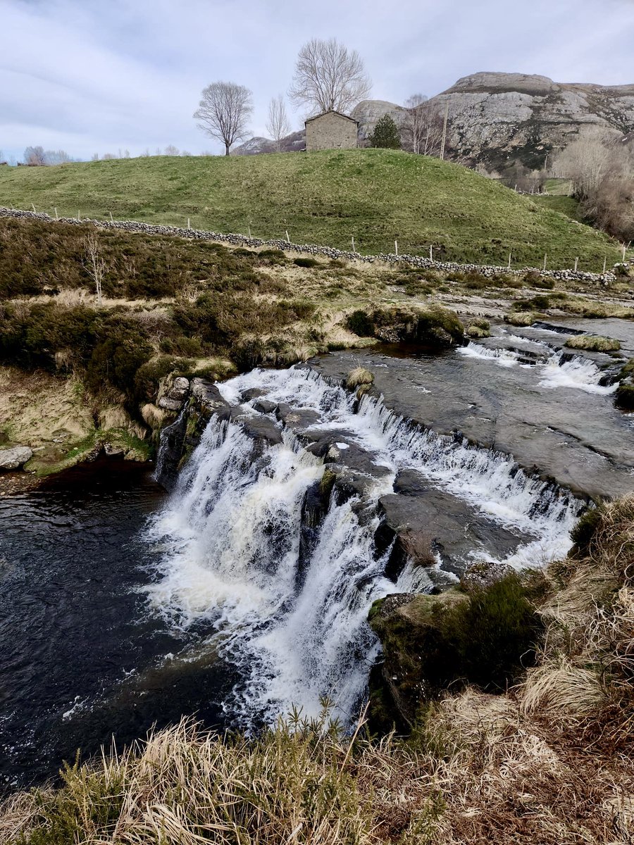 Jose Angel Urquia tweet media