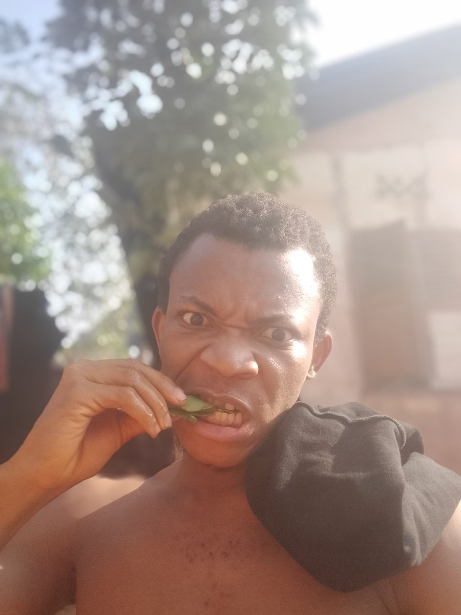 ℙ𝕒𝕤𝕔𝕙𝕒𝕝✭ tweet media