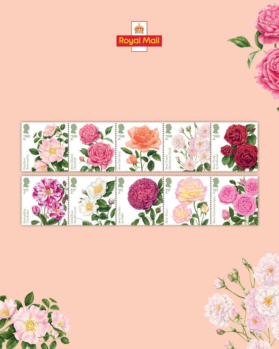 Royal Mail Stamps tweet media