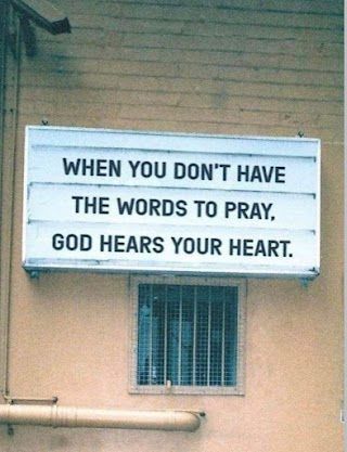 The Ant Philosophy tweet media