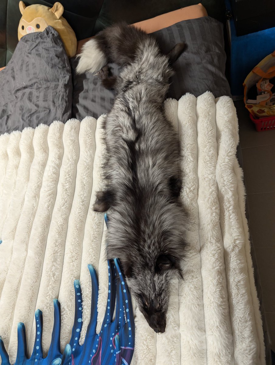 Yooo look at this beauty 
🥹