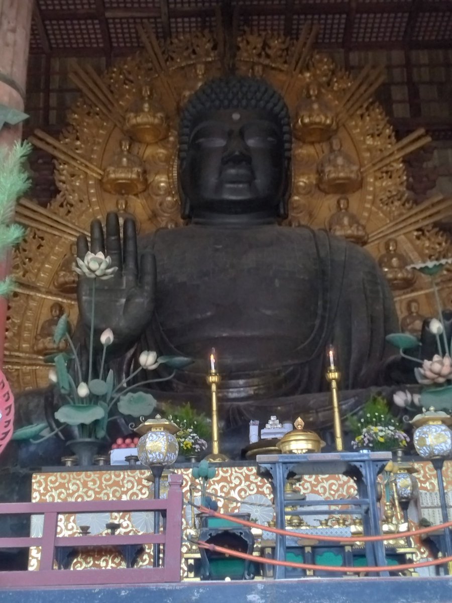 gori1969 tweet media