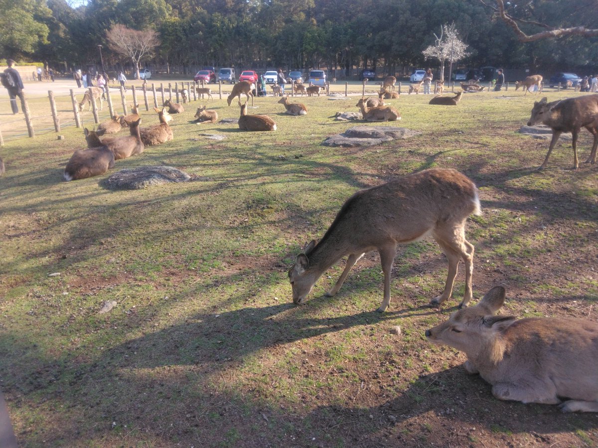 gori1969 tweet media