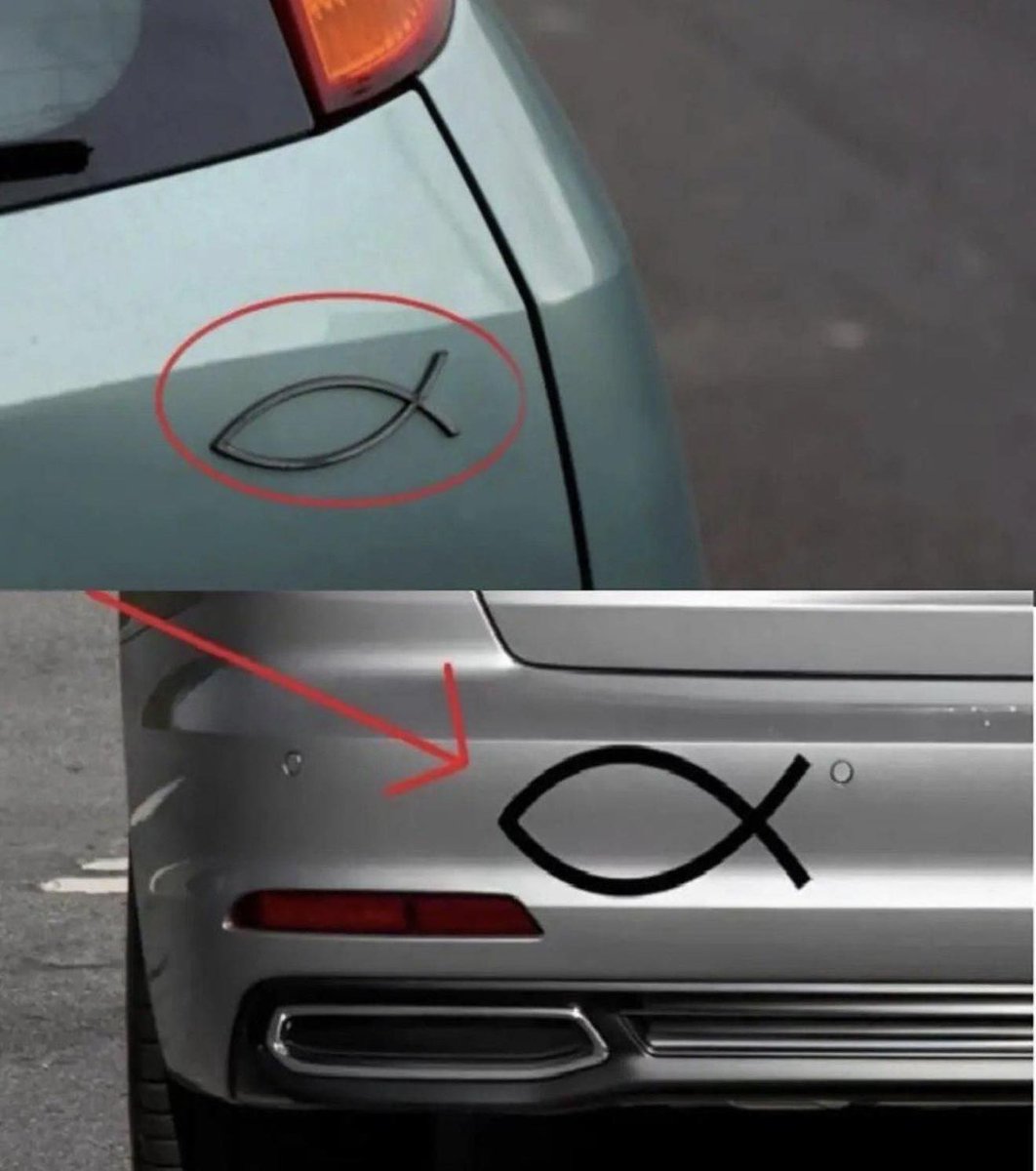 CLEAN CAR CLUB tweet media