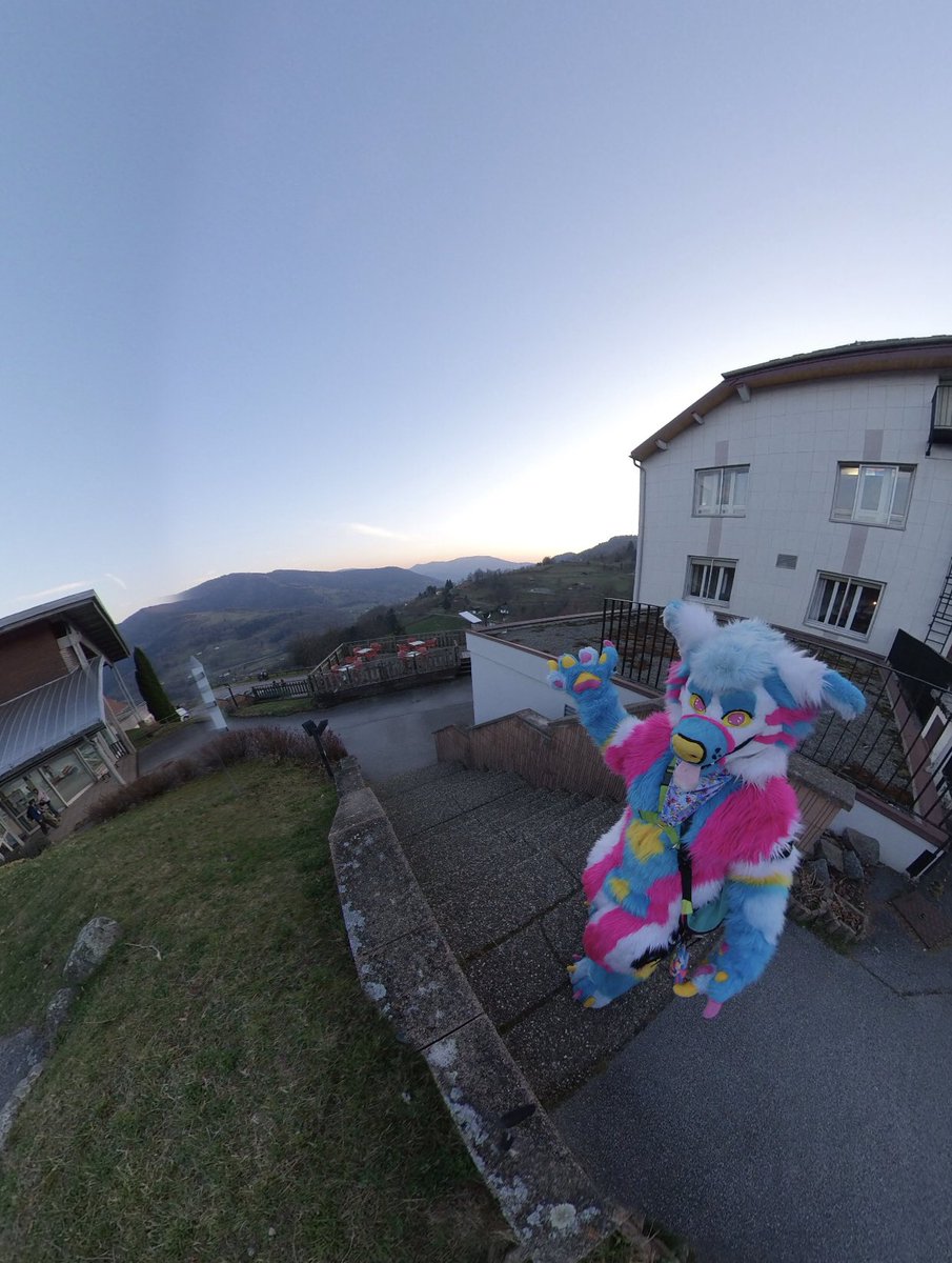 Fur Sweet Home #ANTHROPOLIS2026 tweet media