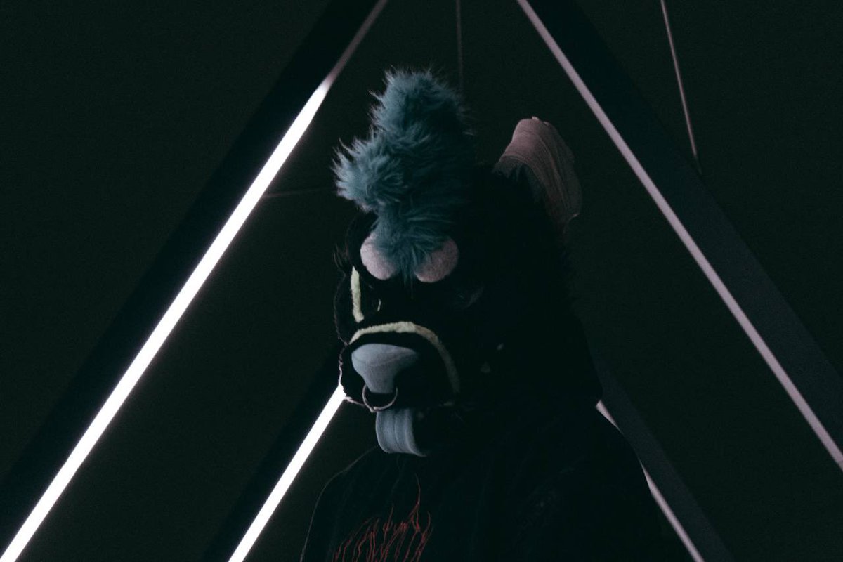 Nixoralis Confused and Angry 🔜NFC🔜Faun🔜Furizon tweet media