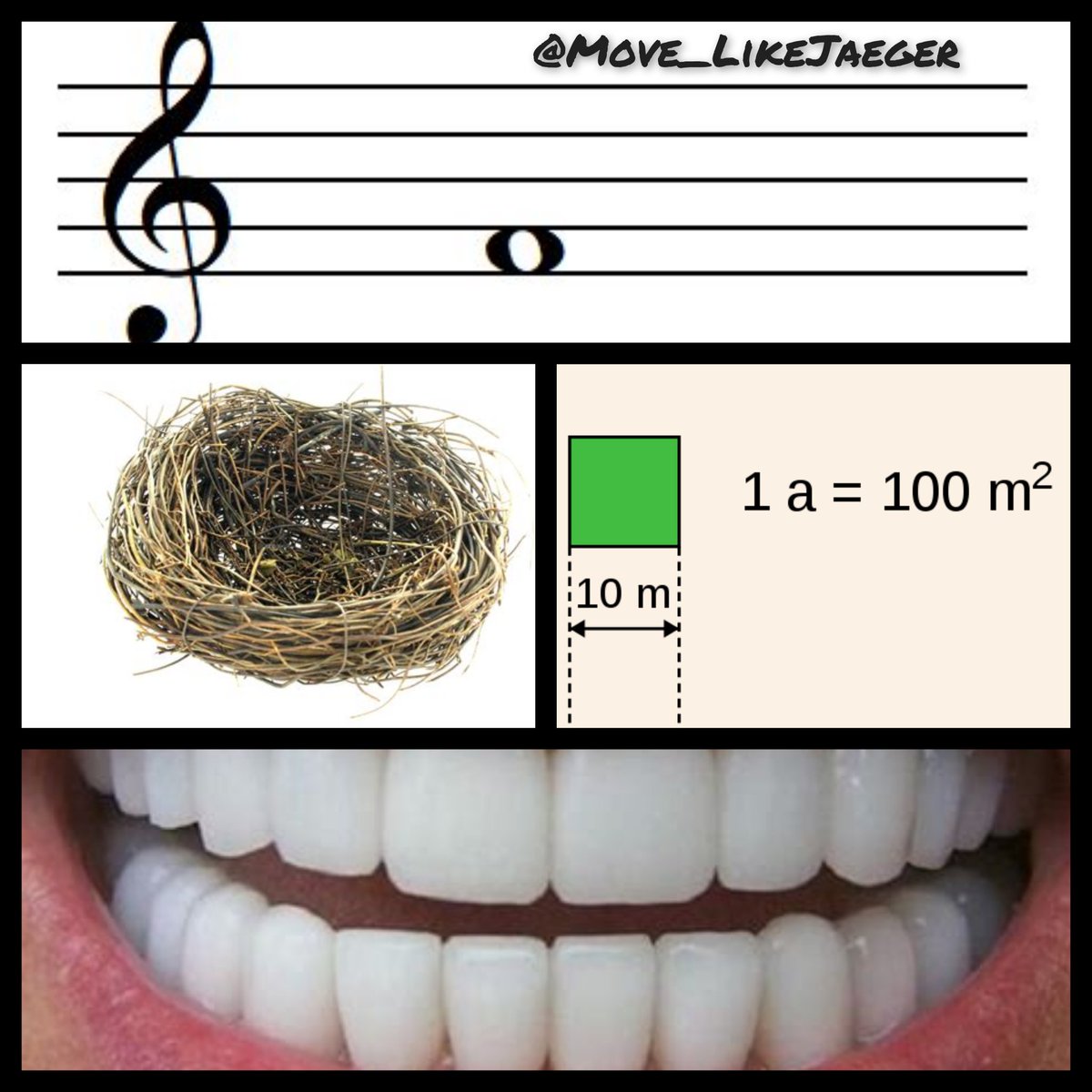 George Clown-né 🇺🇦🇺🇦🇺🇦 tweet media