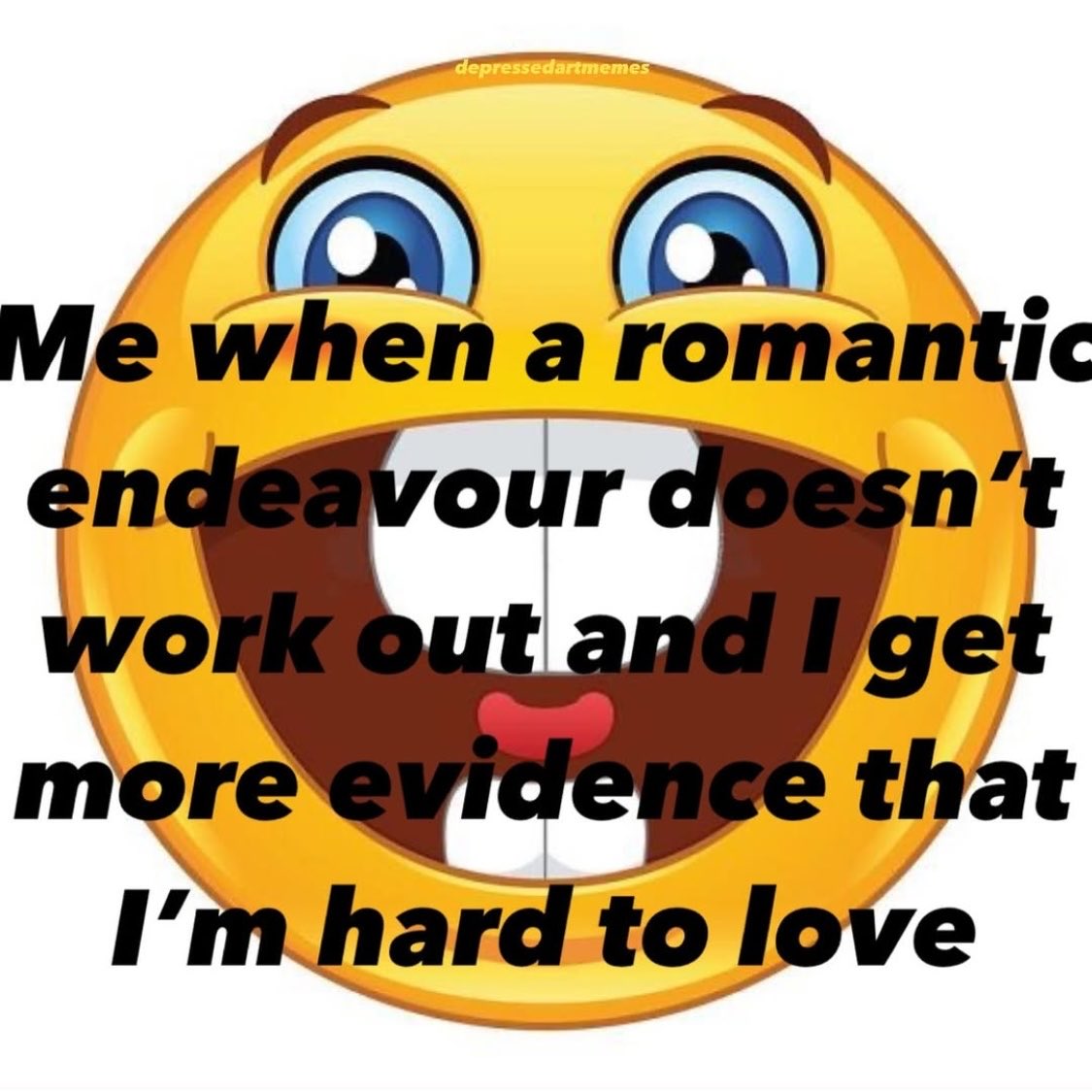 crazy cat lady tweet media